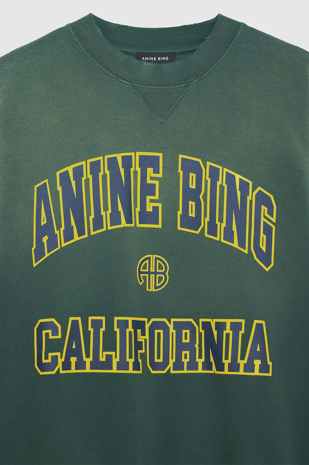 Jaci Sweatshirt washed faded green