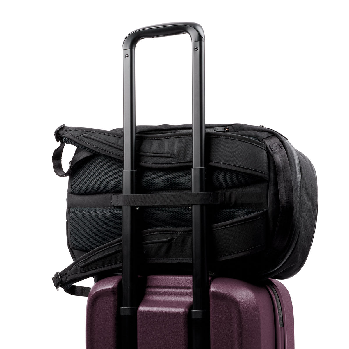 TRansit Carry On Fig