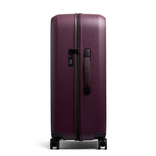 Transit Check in Large Fig