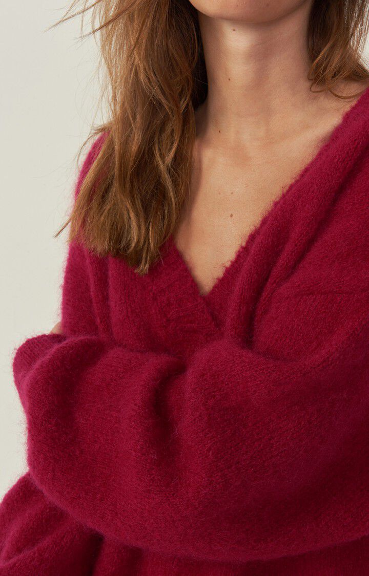 Pinobery V Neck Jumper- Caberet