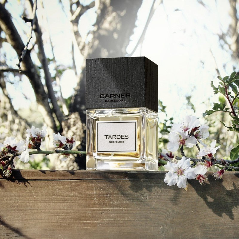 Tardes EDP and HairPerfume Set