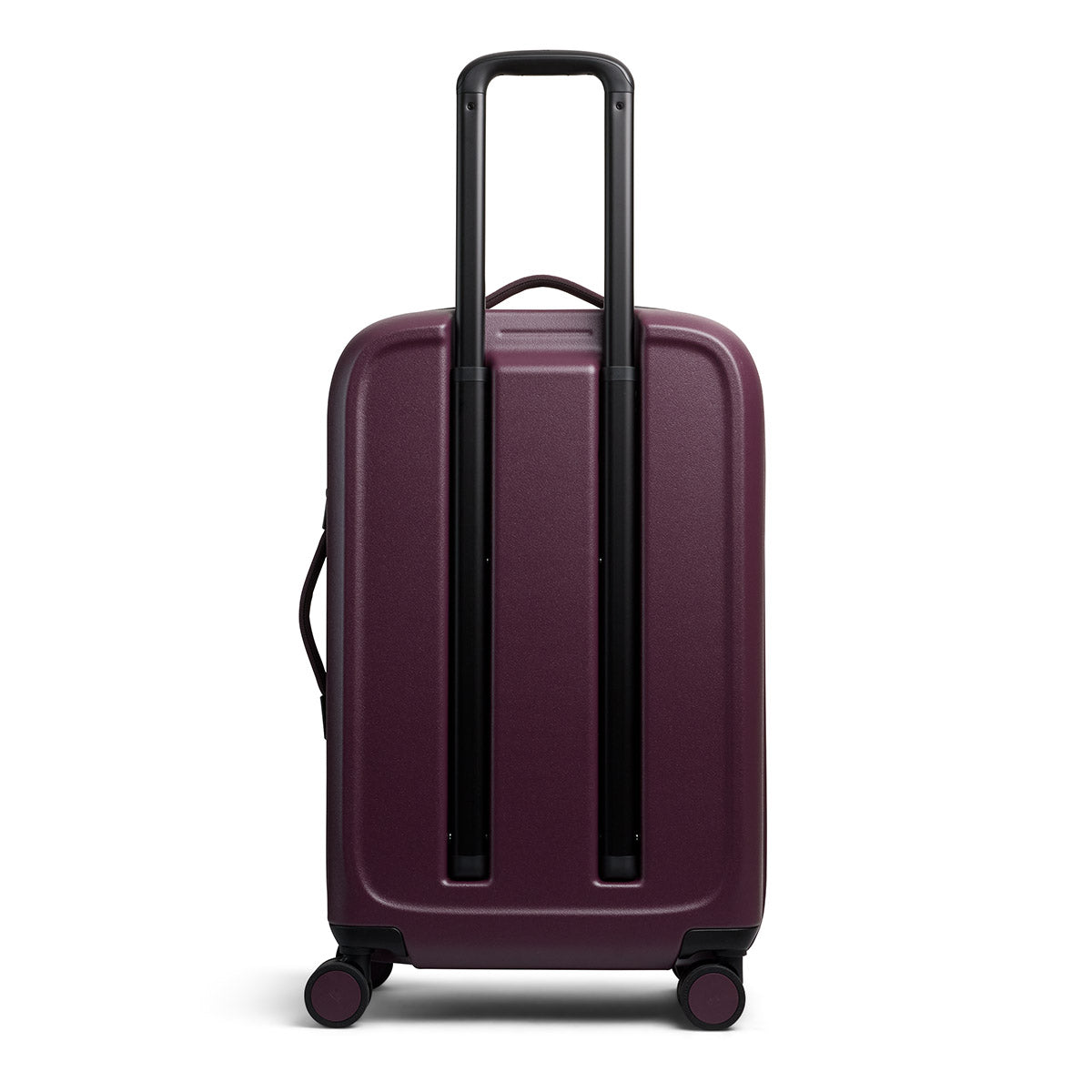 Transit Check In Fig