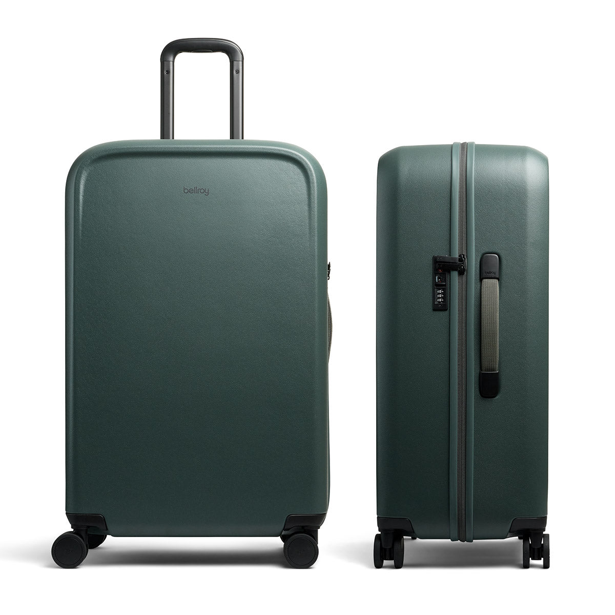 Transit Check in Large Everglade