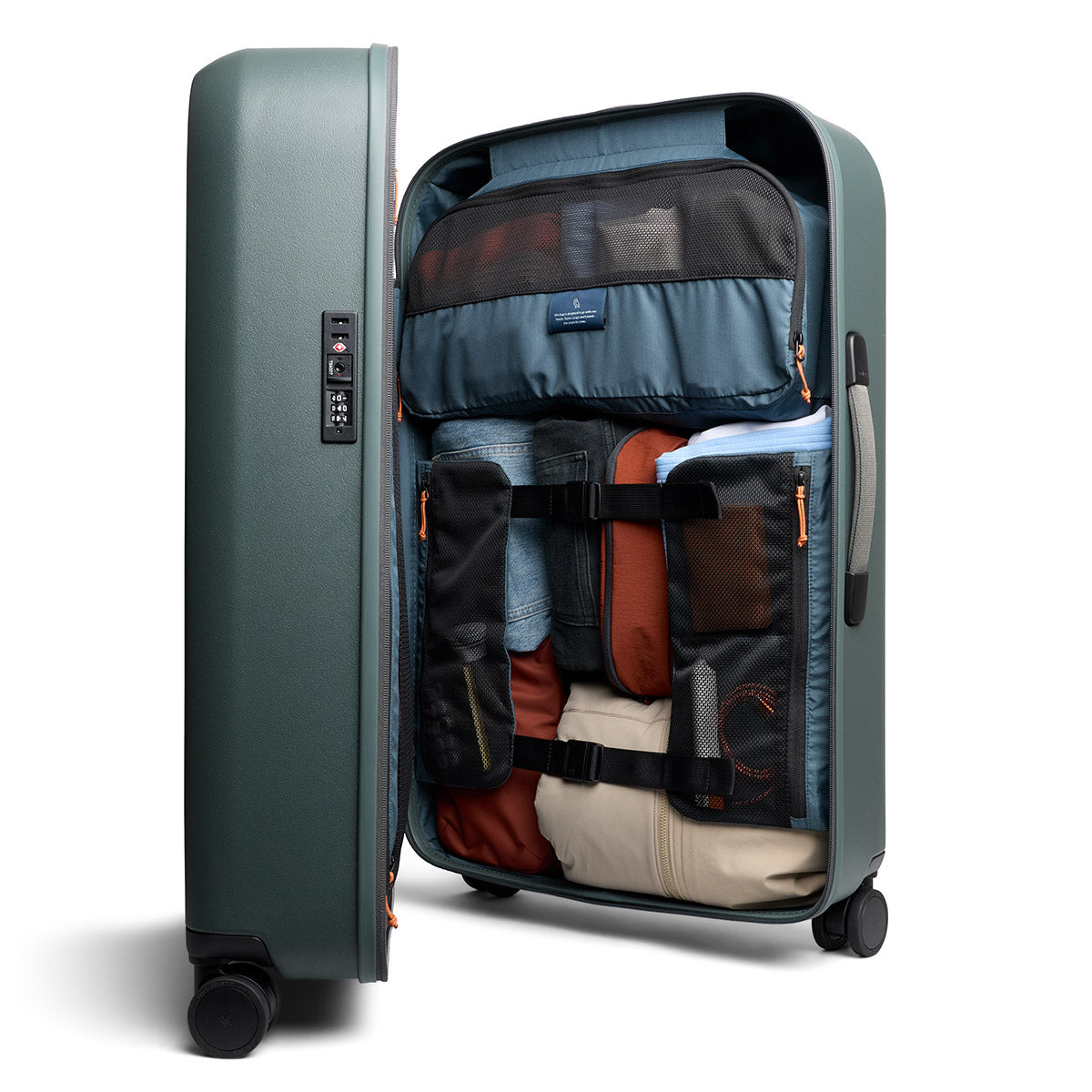 Transit Check in Large Everglade