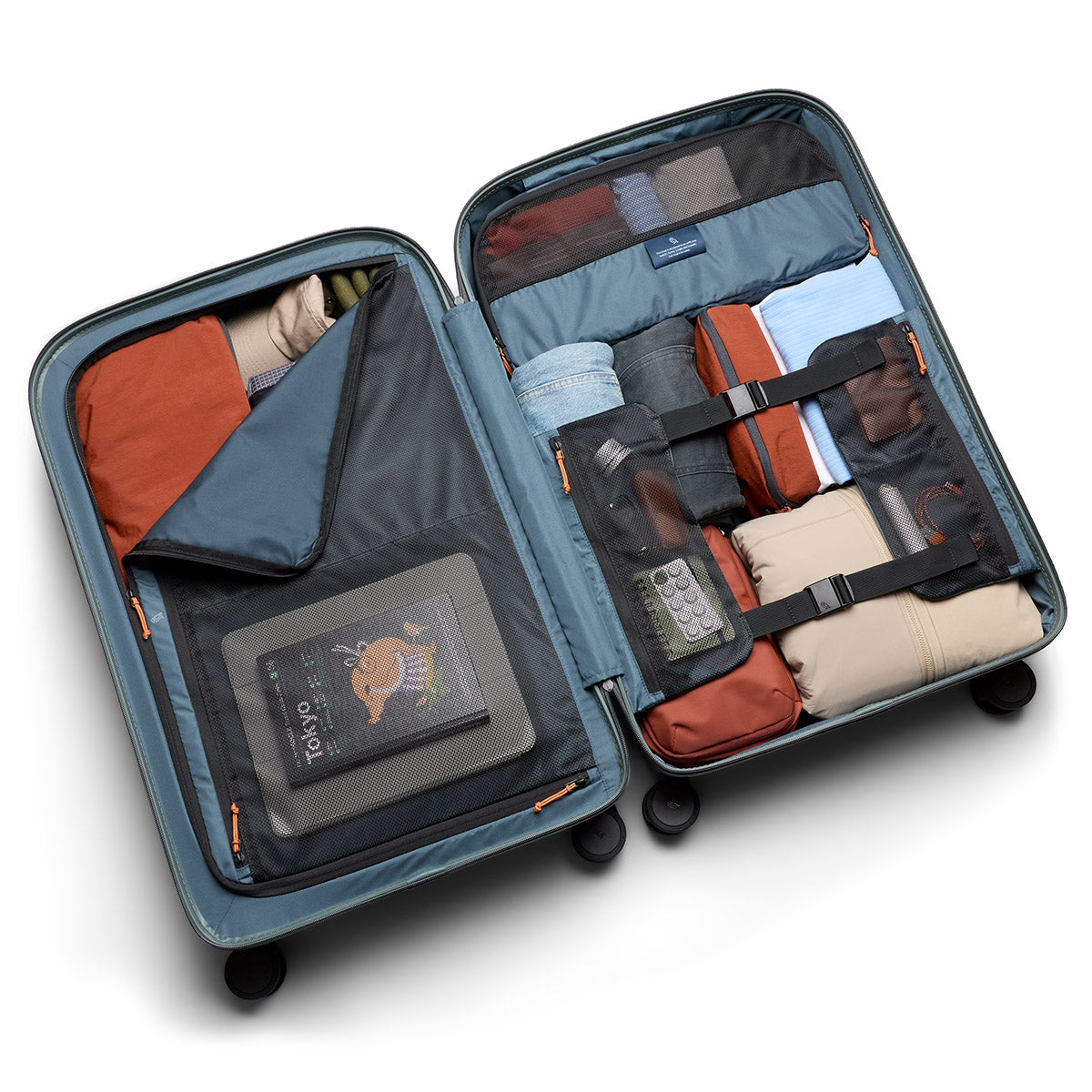 Transit Check in Large Everglade