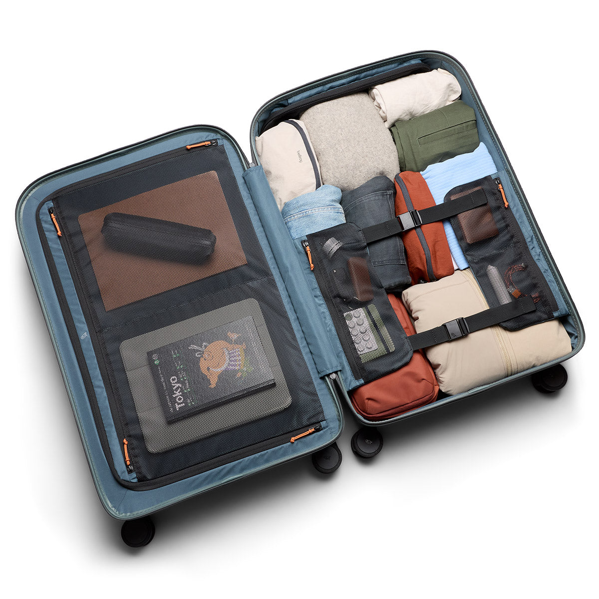 Transit Check in Large Everglade