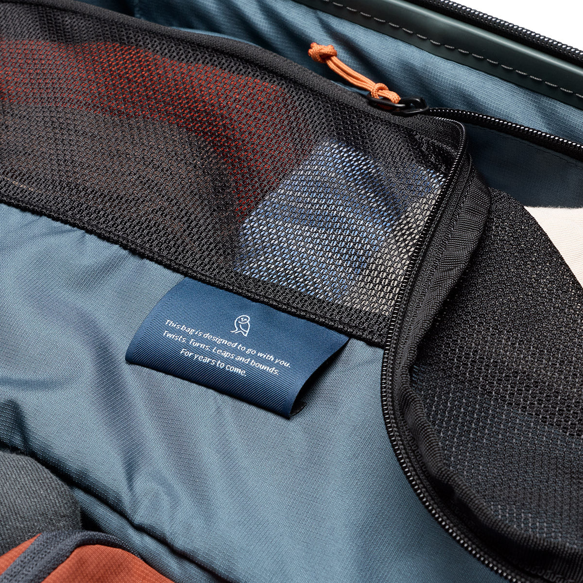 Transit Check in Large Everglade