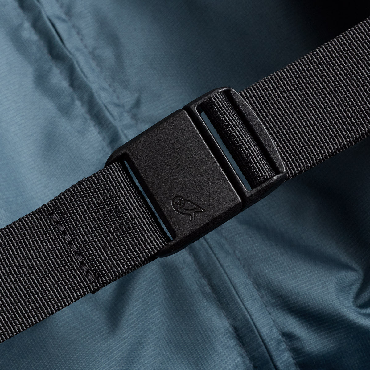 Transit Check in Large Everglade