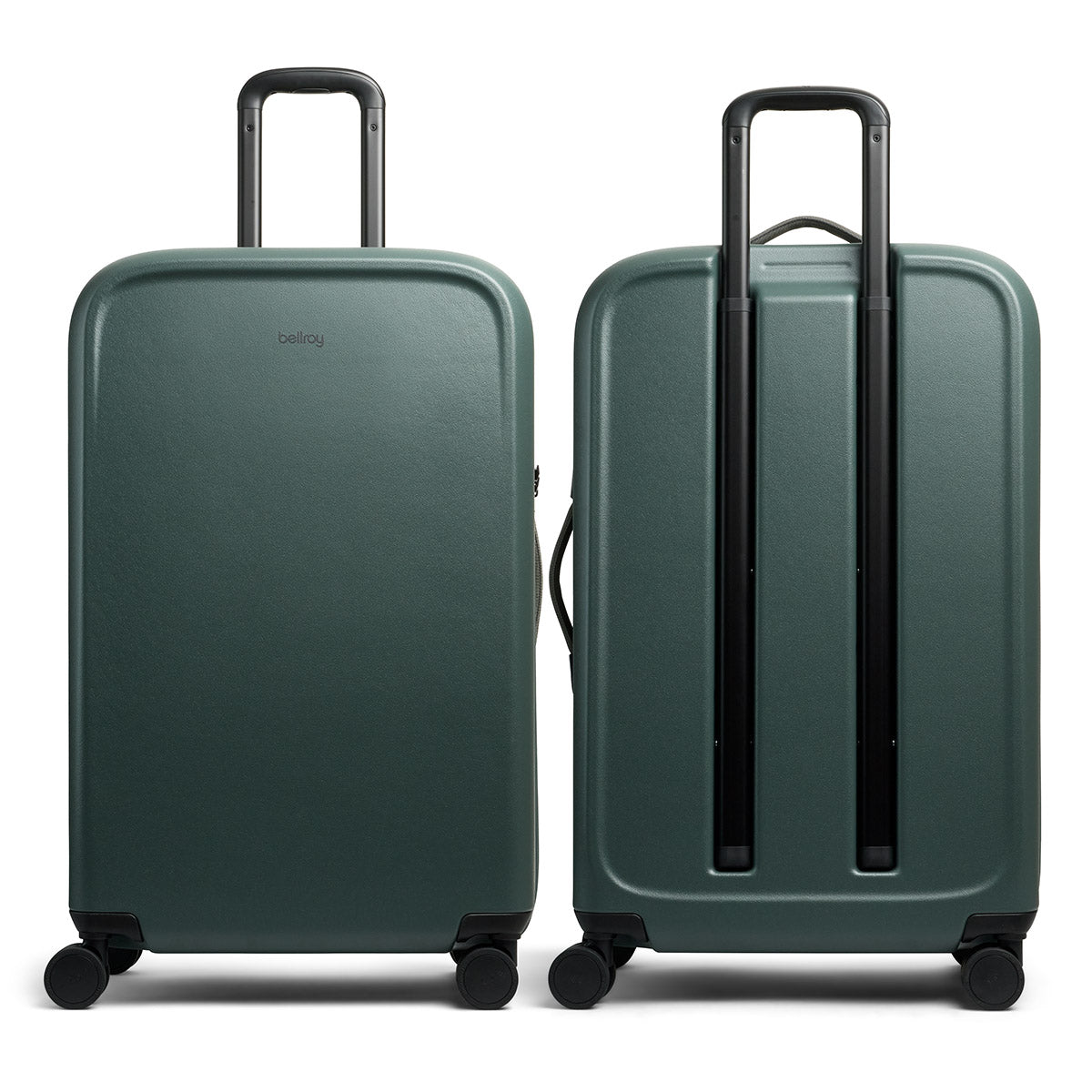 Transit Check in Large Everglade