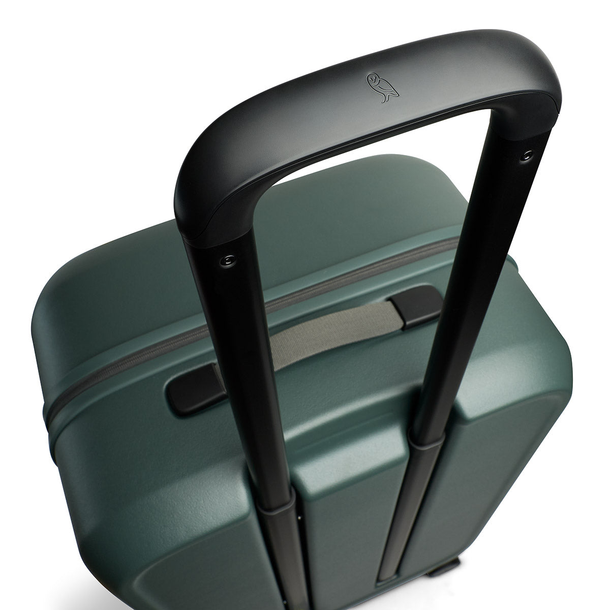 Transit Check in Large Everglade