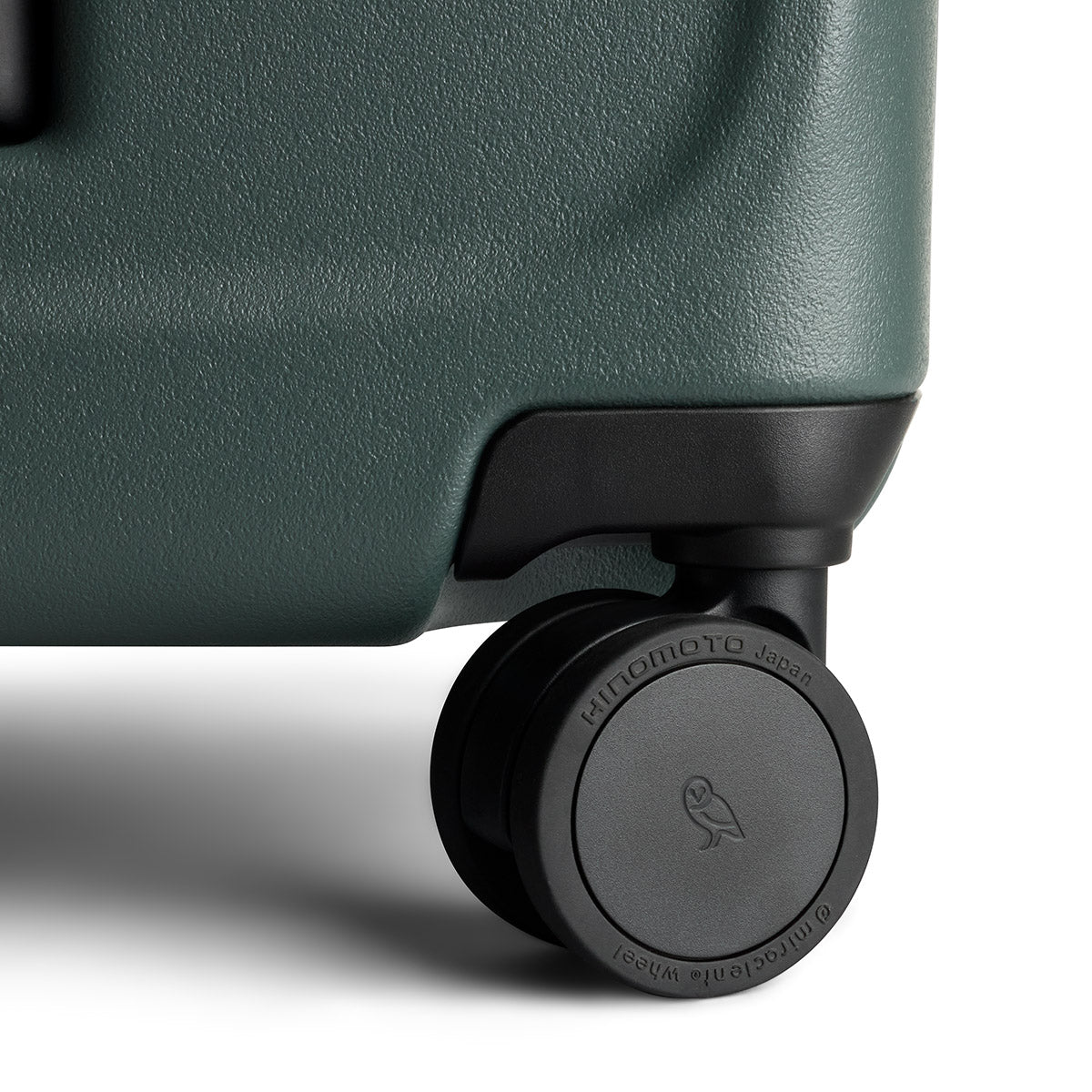 Transit Check in Large Everglade