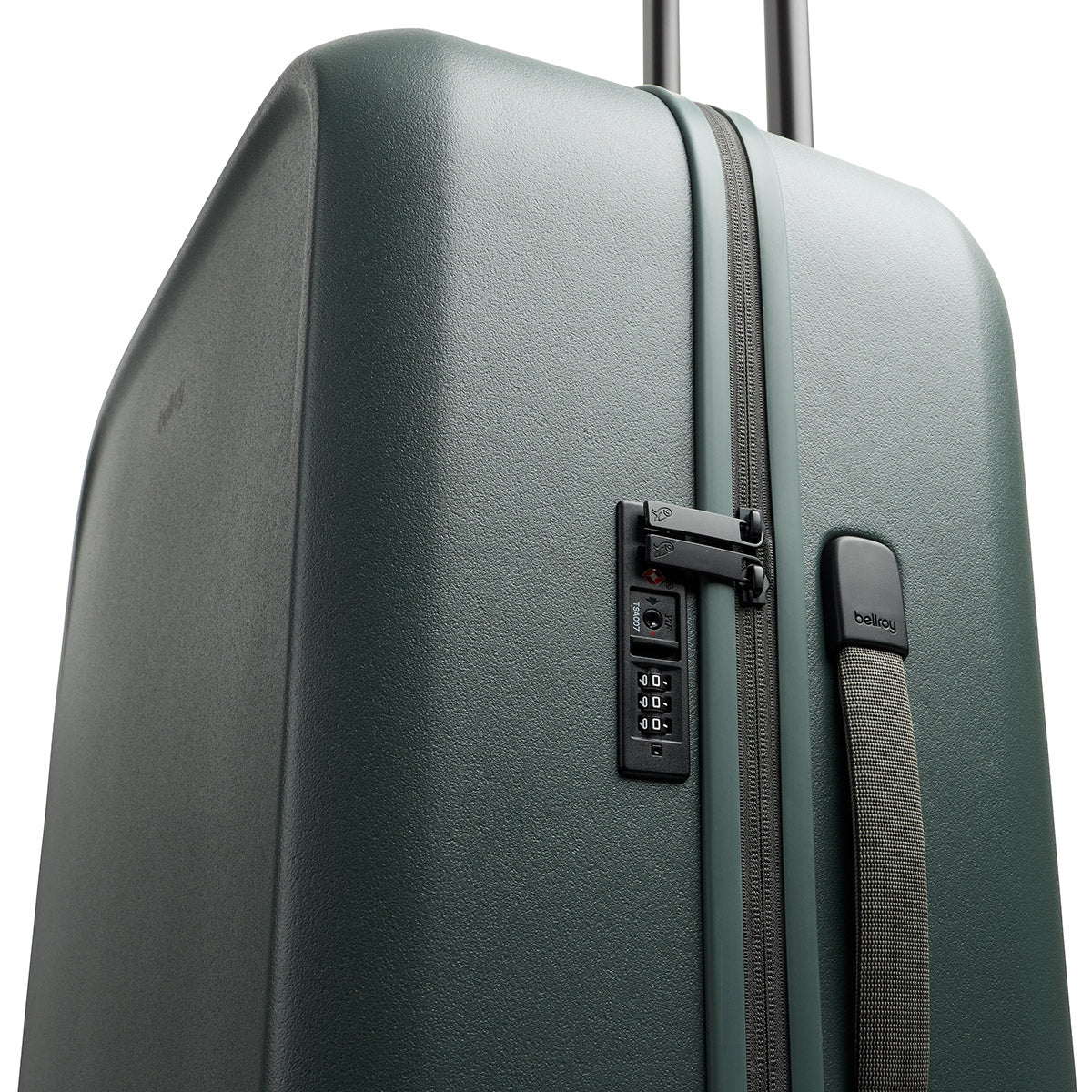 Transit Check in Large Everglade