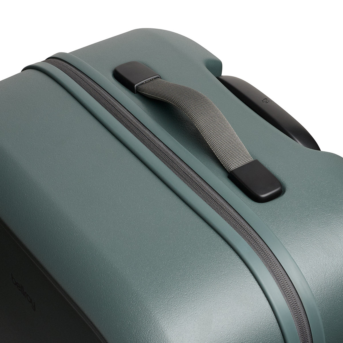 Transit Check in Large Everglade