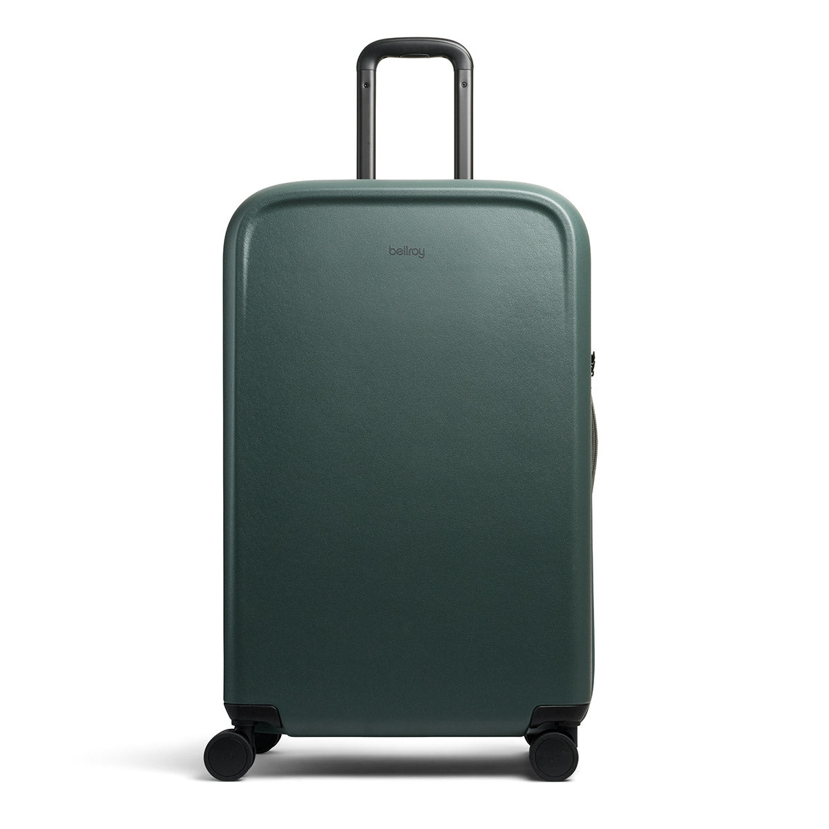 Transit Check in Large Everglade