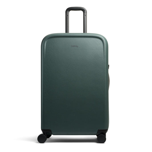 Transit Check in Large Everglade