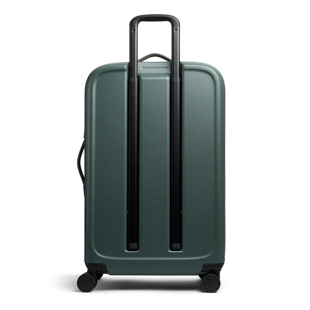 Transit Check in Large Everglade