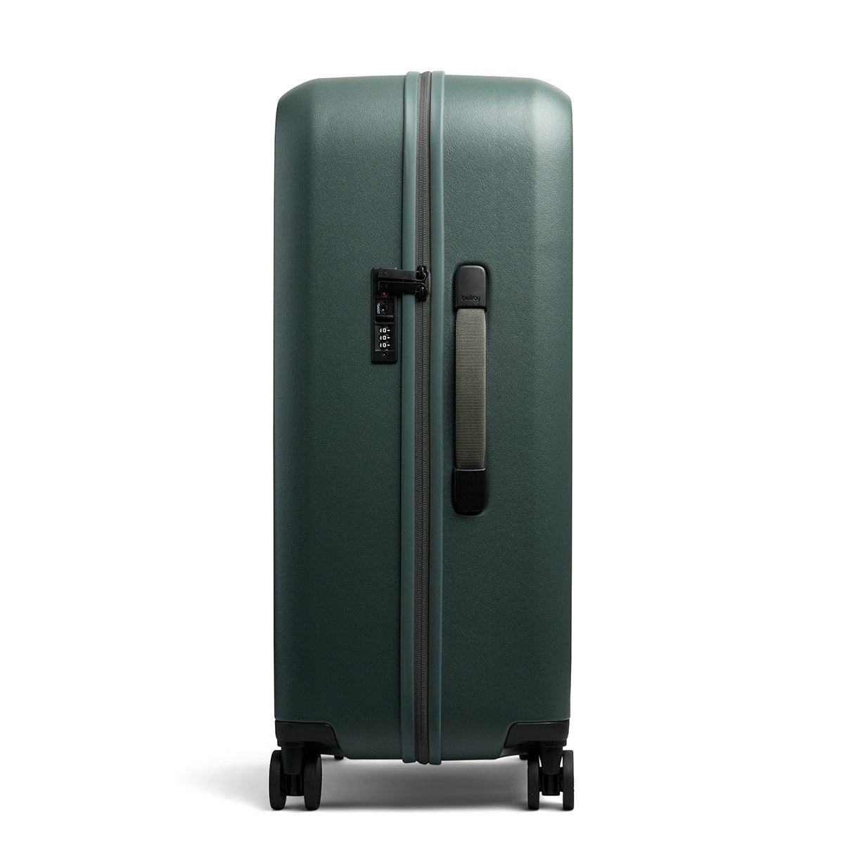 Transit Check in Large Everglade