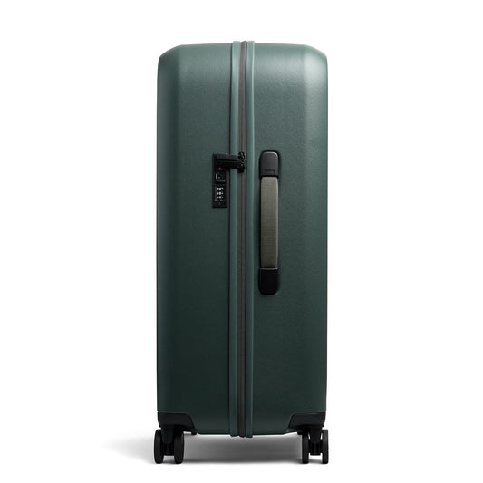 Transit Check in Large Everglade