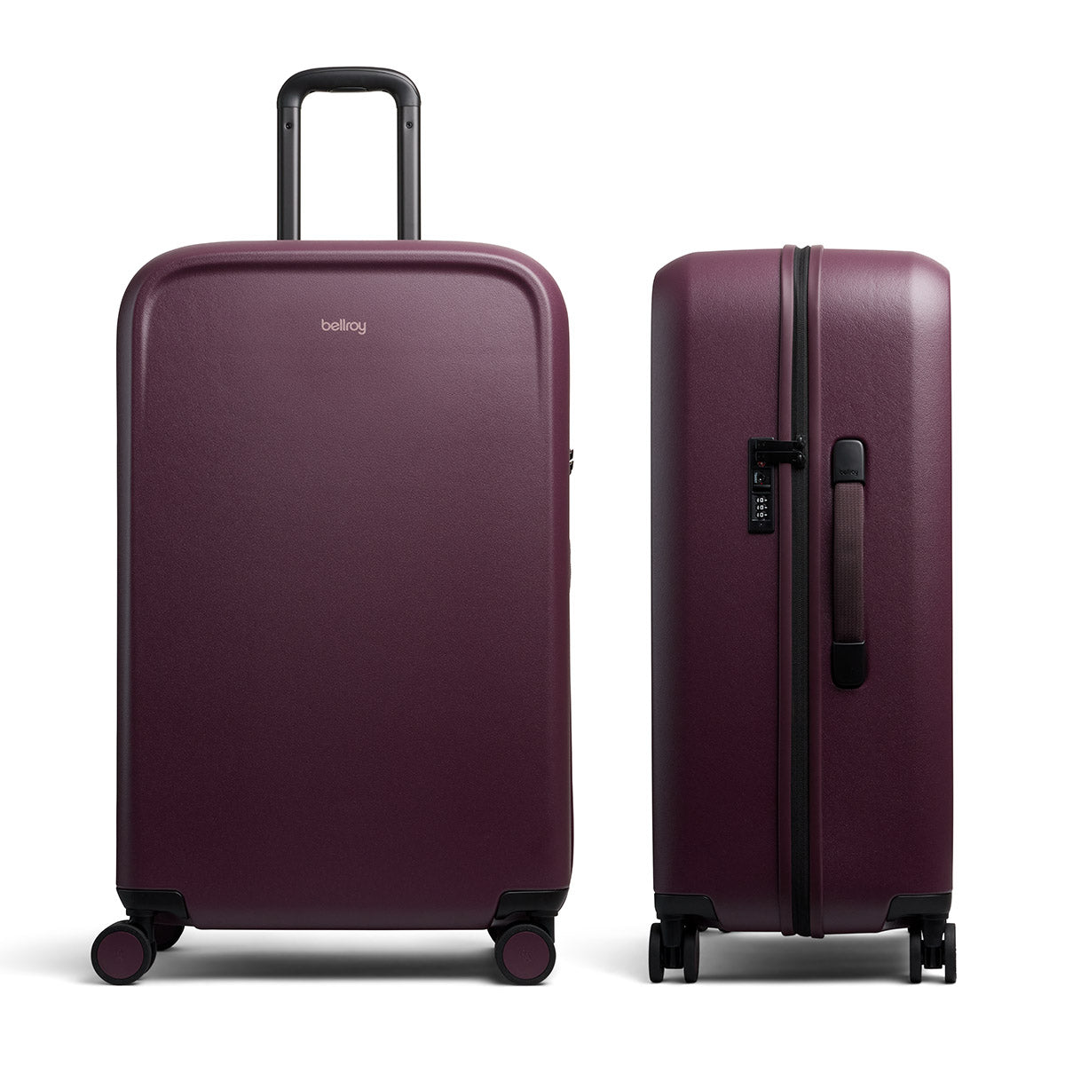 Transit Check in Large Fig