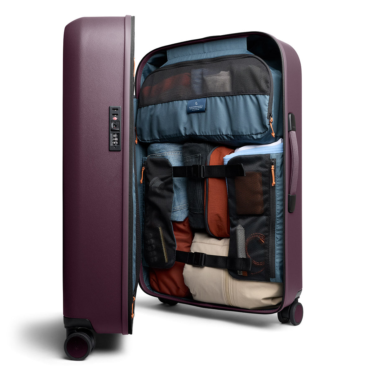 Transit Check in Large Fig