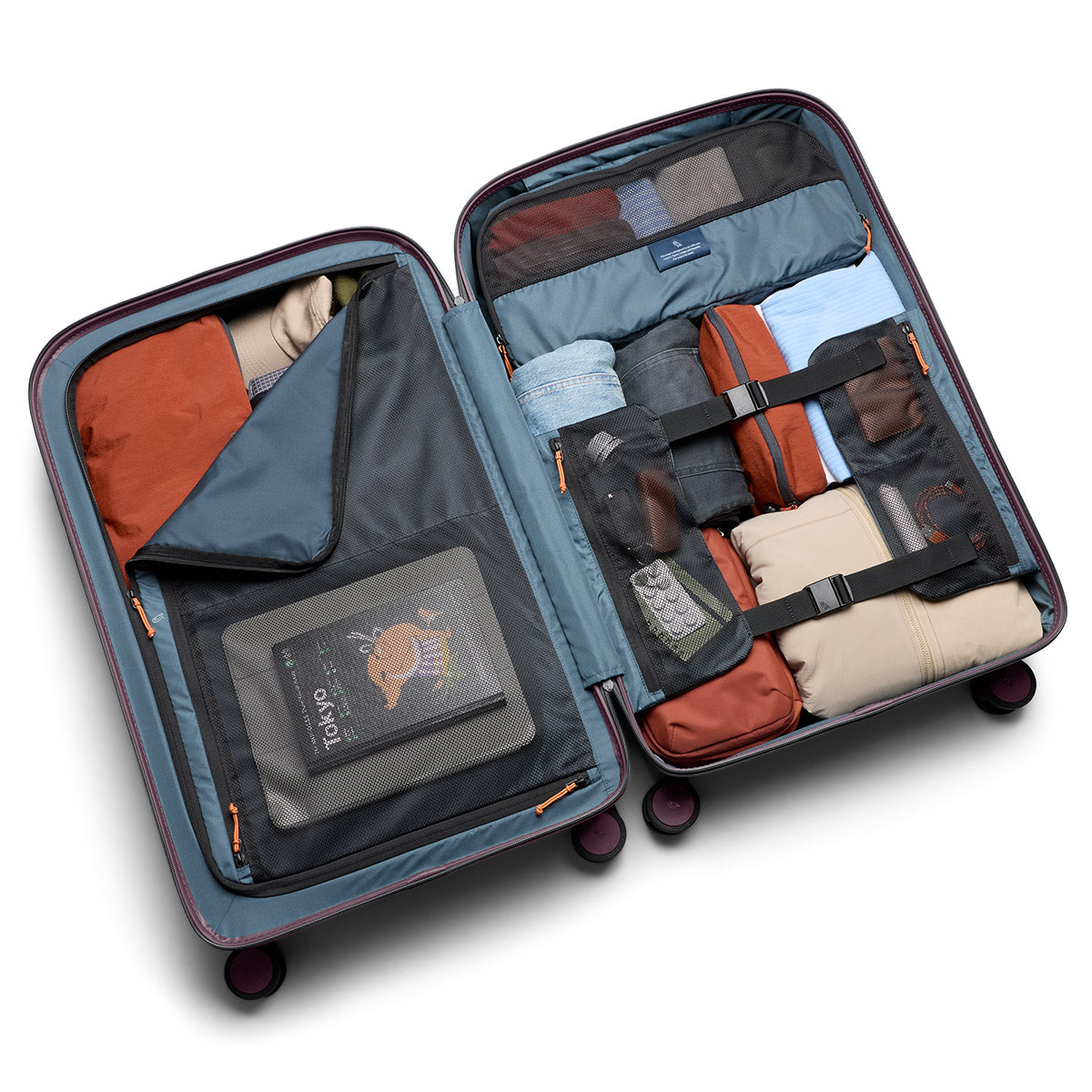 Transit Check in Large Fig