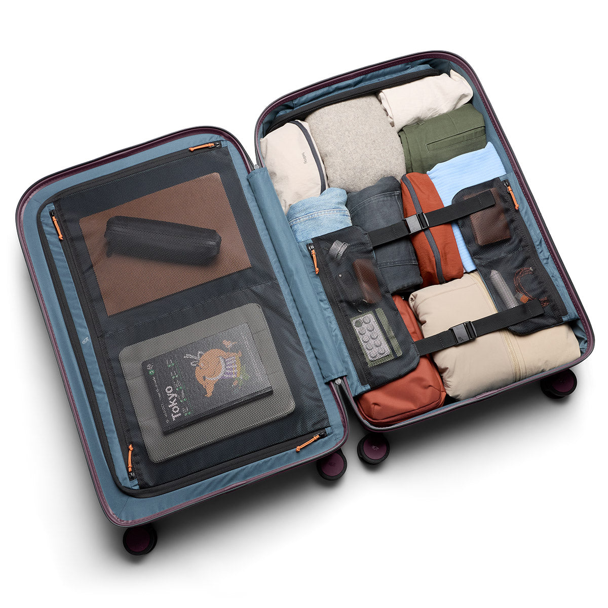 Transit Check in Large Fig