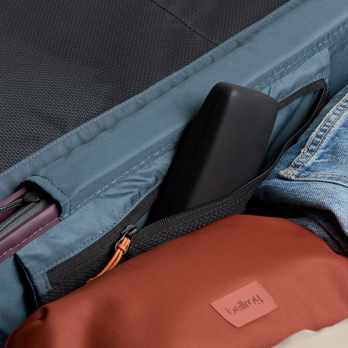 Transit Check in Large Fig