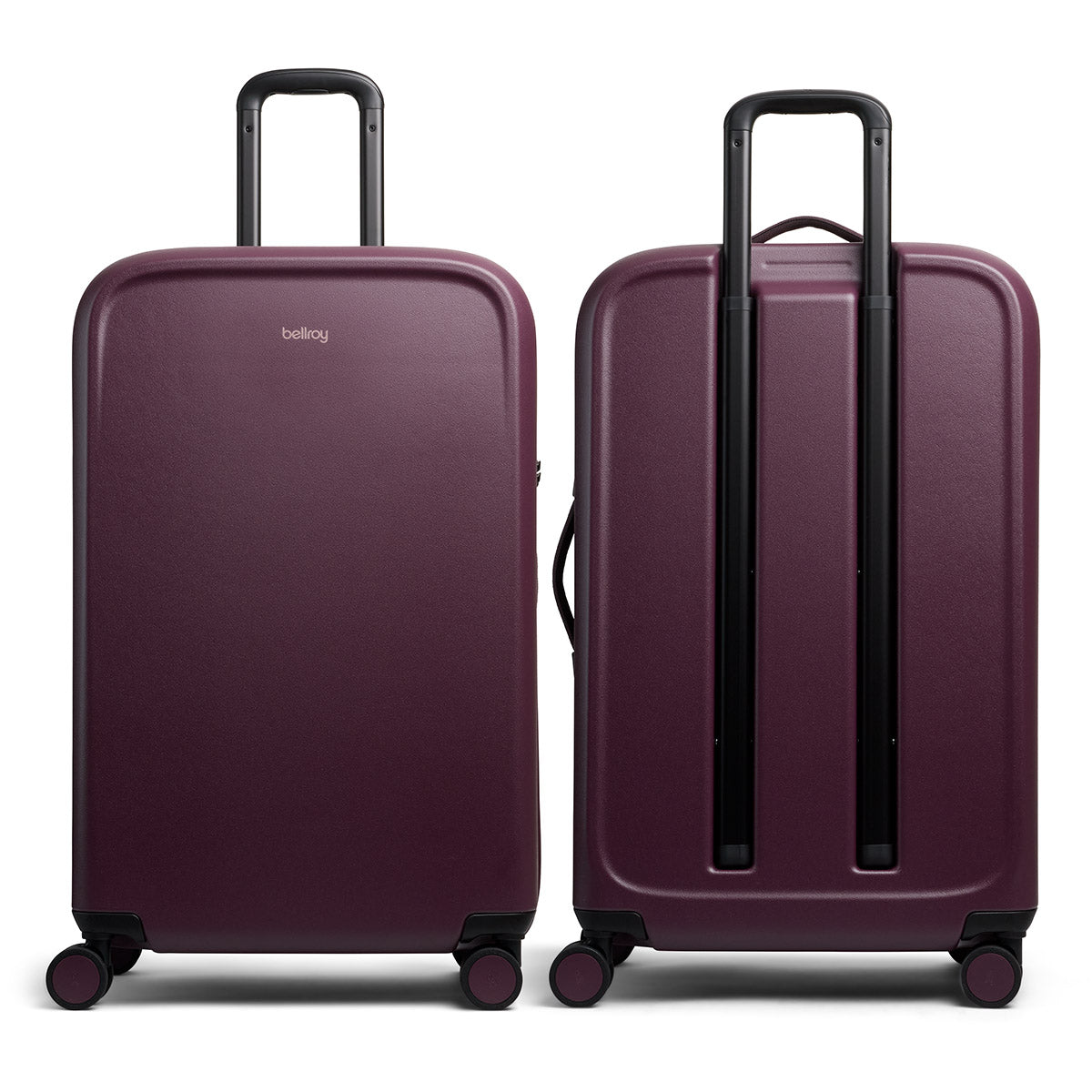 Transit Check in Large Fig