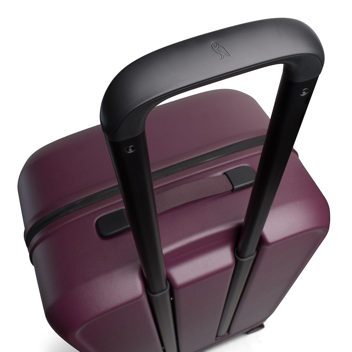 Transit Check in Large Fig