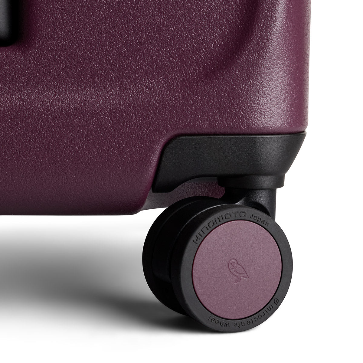 Transit Check in Large Fig