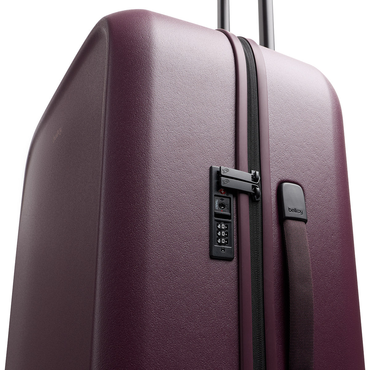 Transit Check in Large Fig