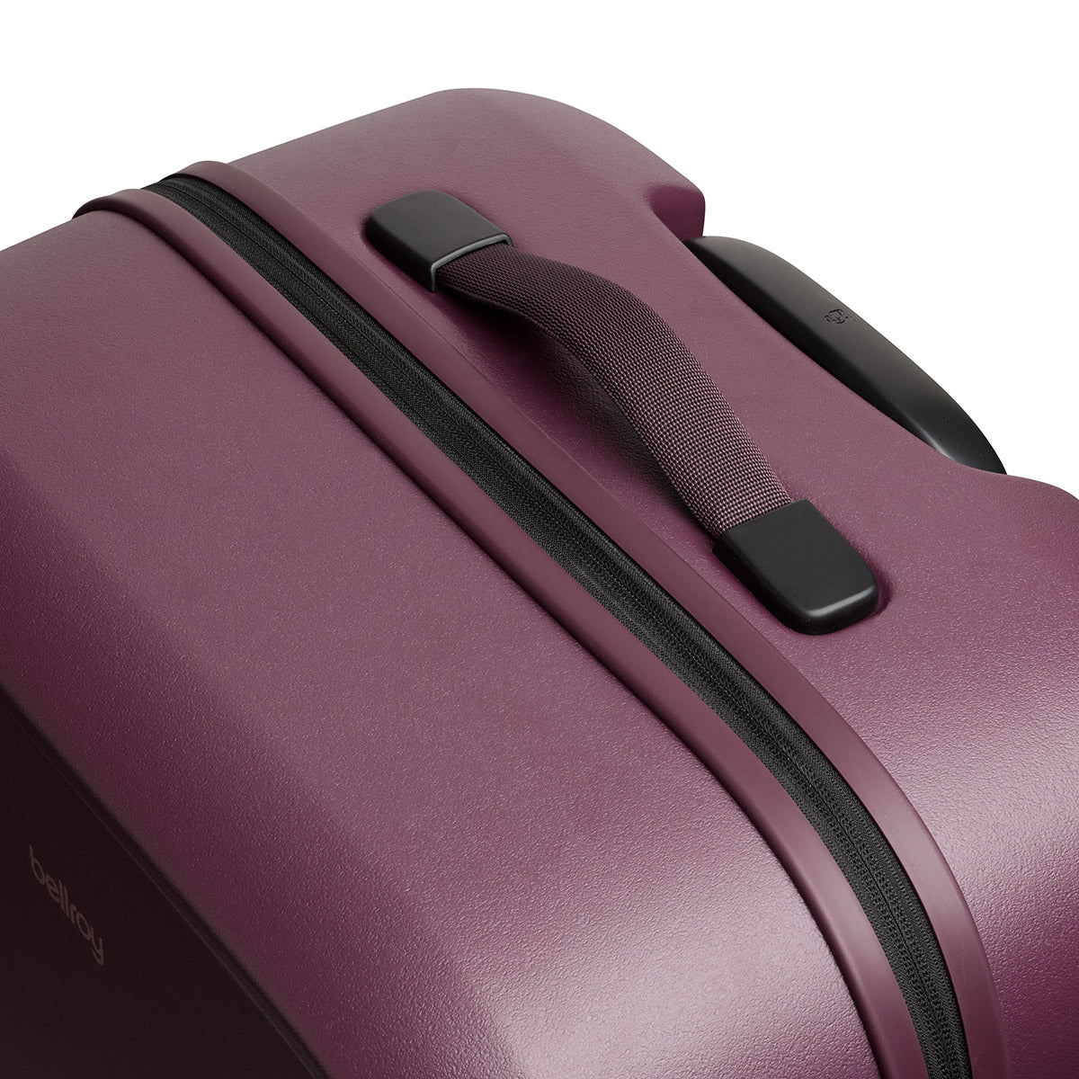 Transit Check in Large Fig