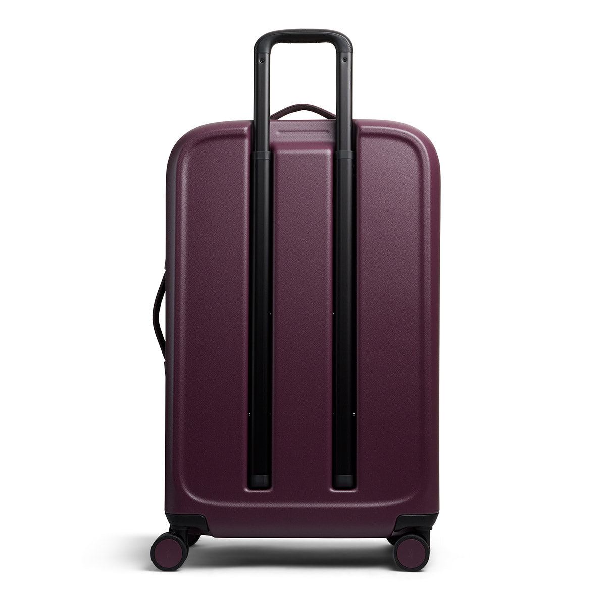 Transit Check in Large Fig