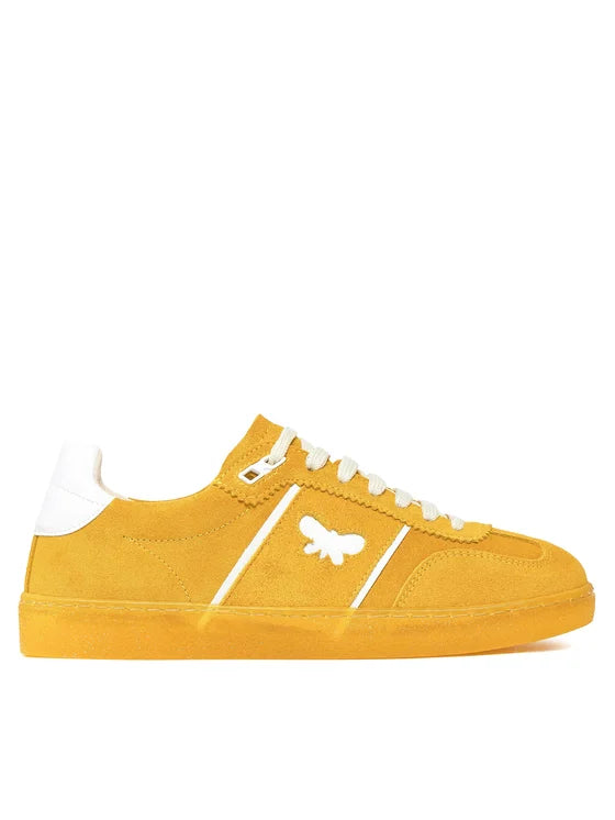 PacoColour shoe