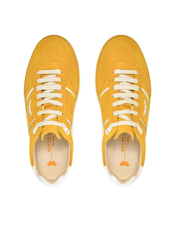 PacoColour shoe