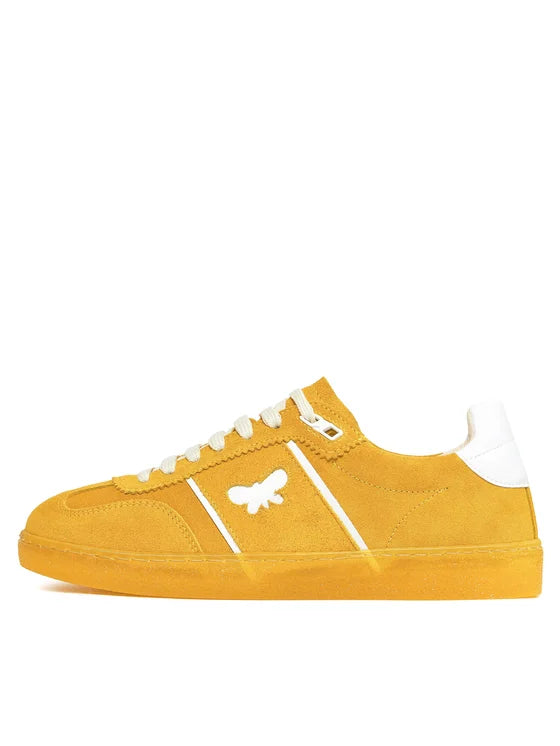 PacoColour shoe