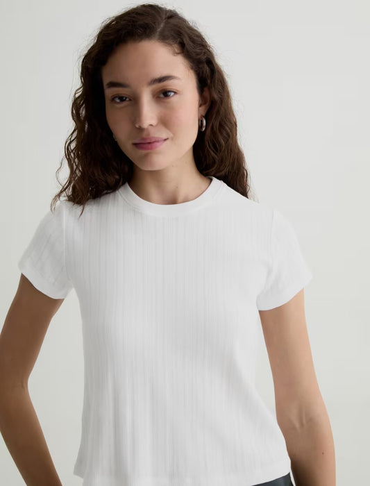 Sadie Crew  Knit powder