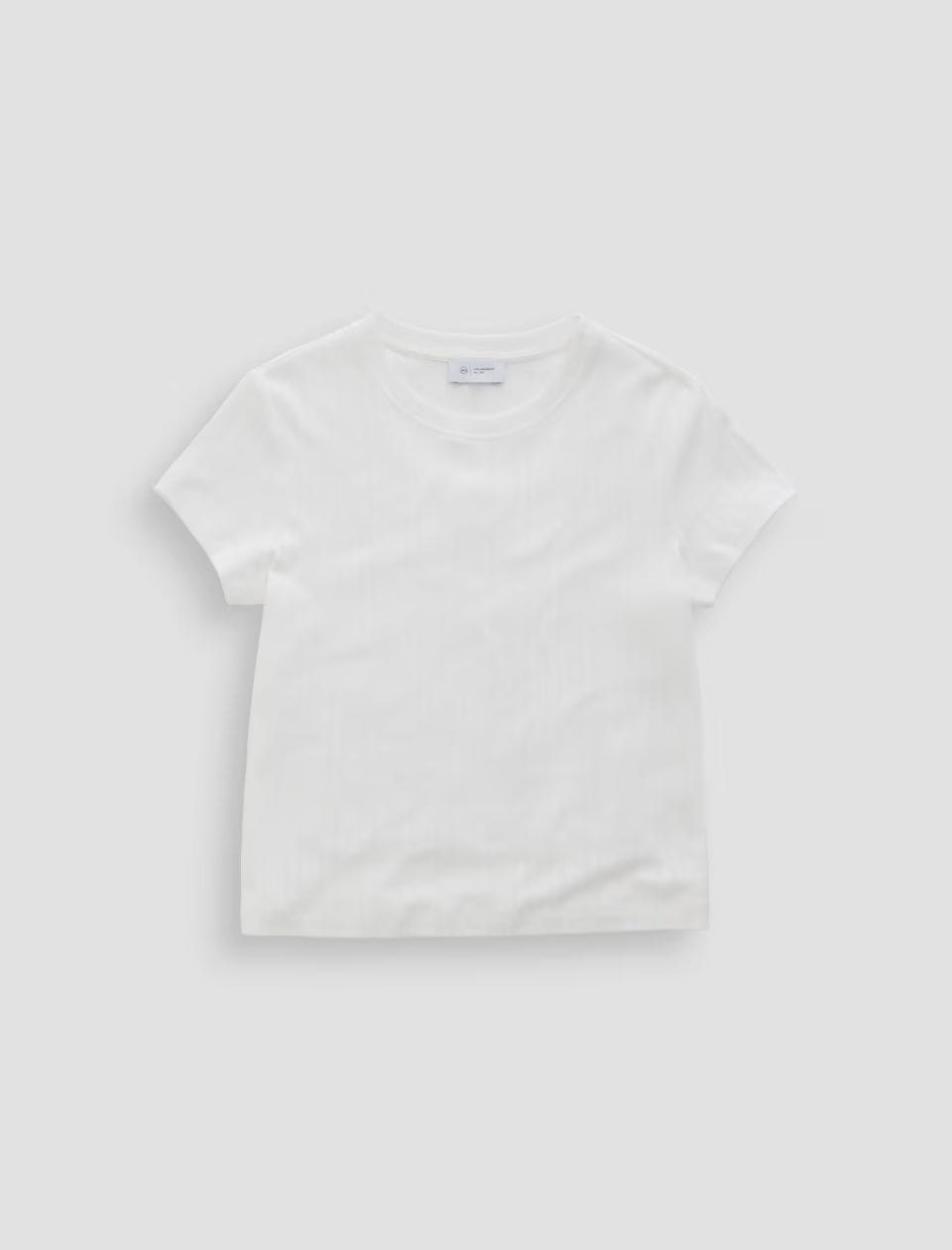 Sadie Crew  Knit powder