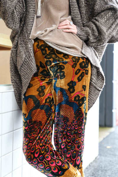 Pavo Velvet Multicolor Print Pants